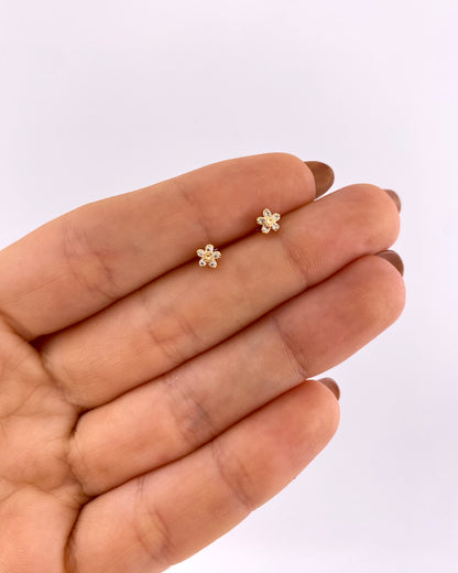 Mini topos flor + piedra