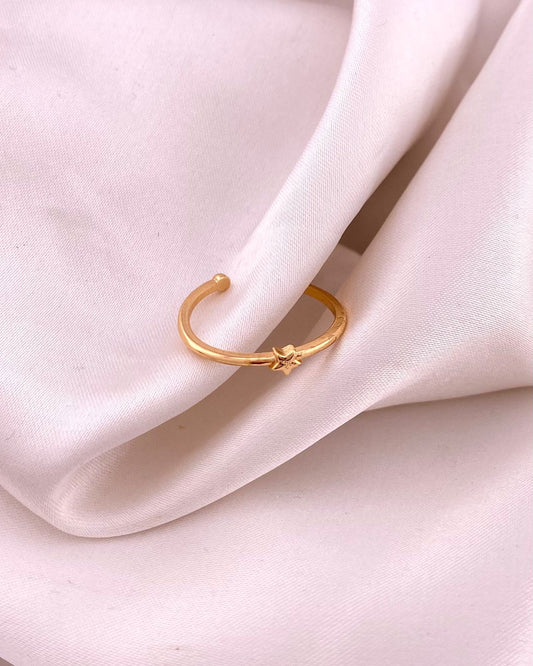 Anillo Aria