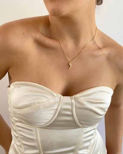 Set Caballito de mar