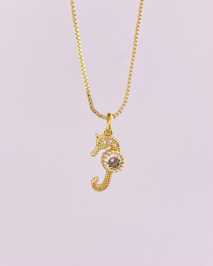 Set Caballito de mar